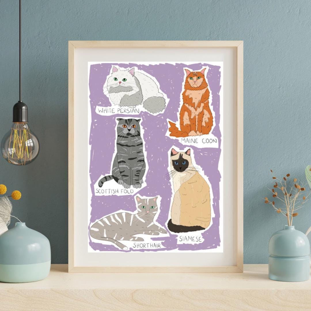 Types of cats | A4 Art Print