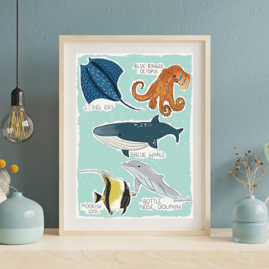 Types of ocean animals | A4 Art Print