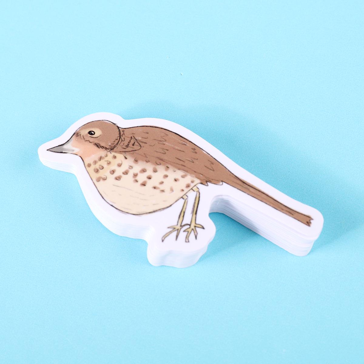 Thrush Bird Sticker