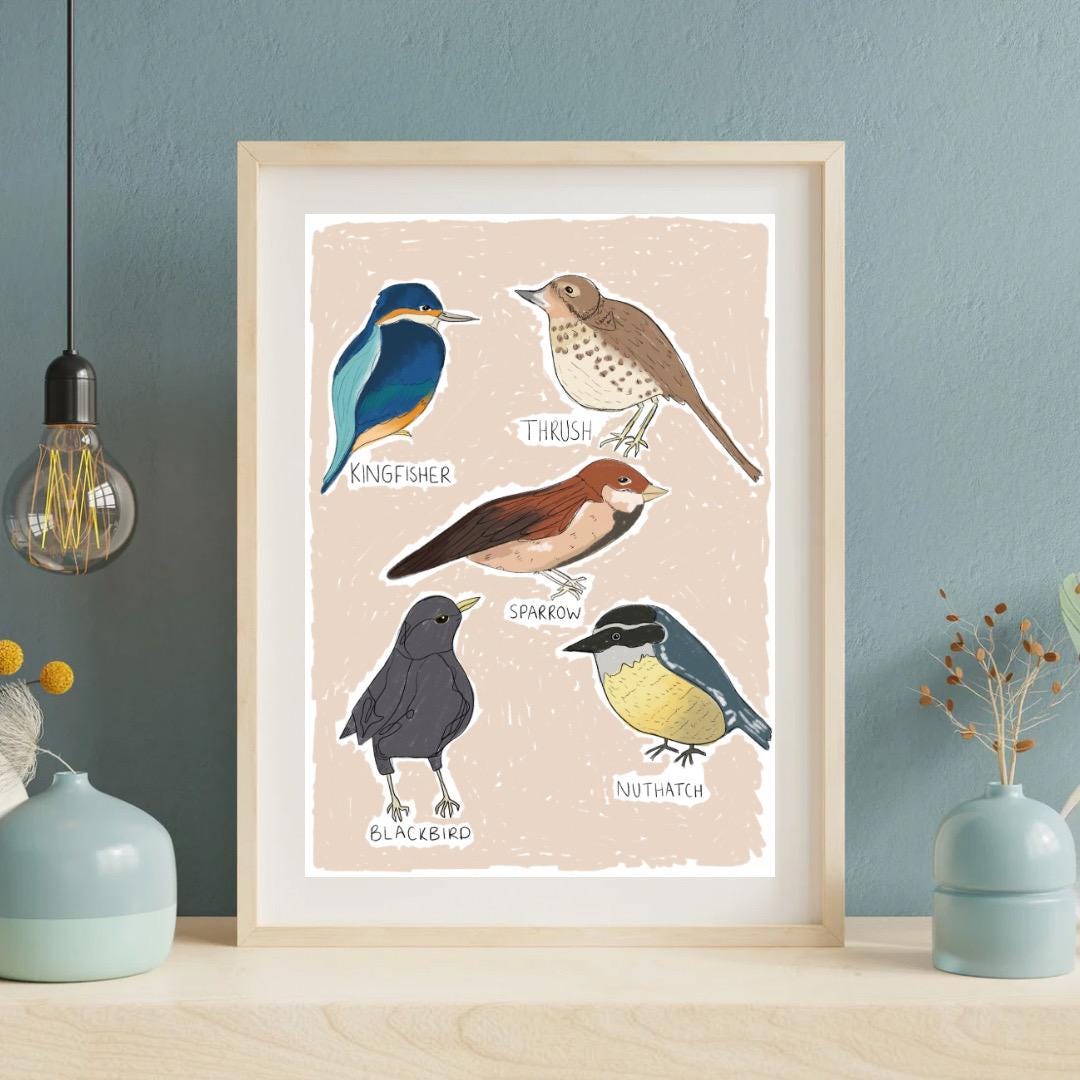 Types of birds | A4 Art Print