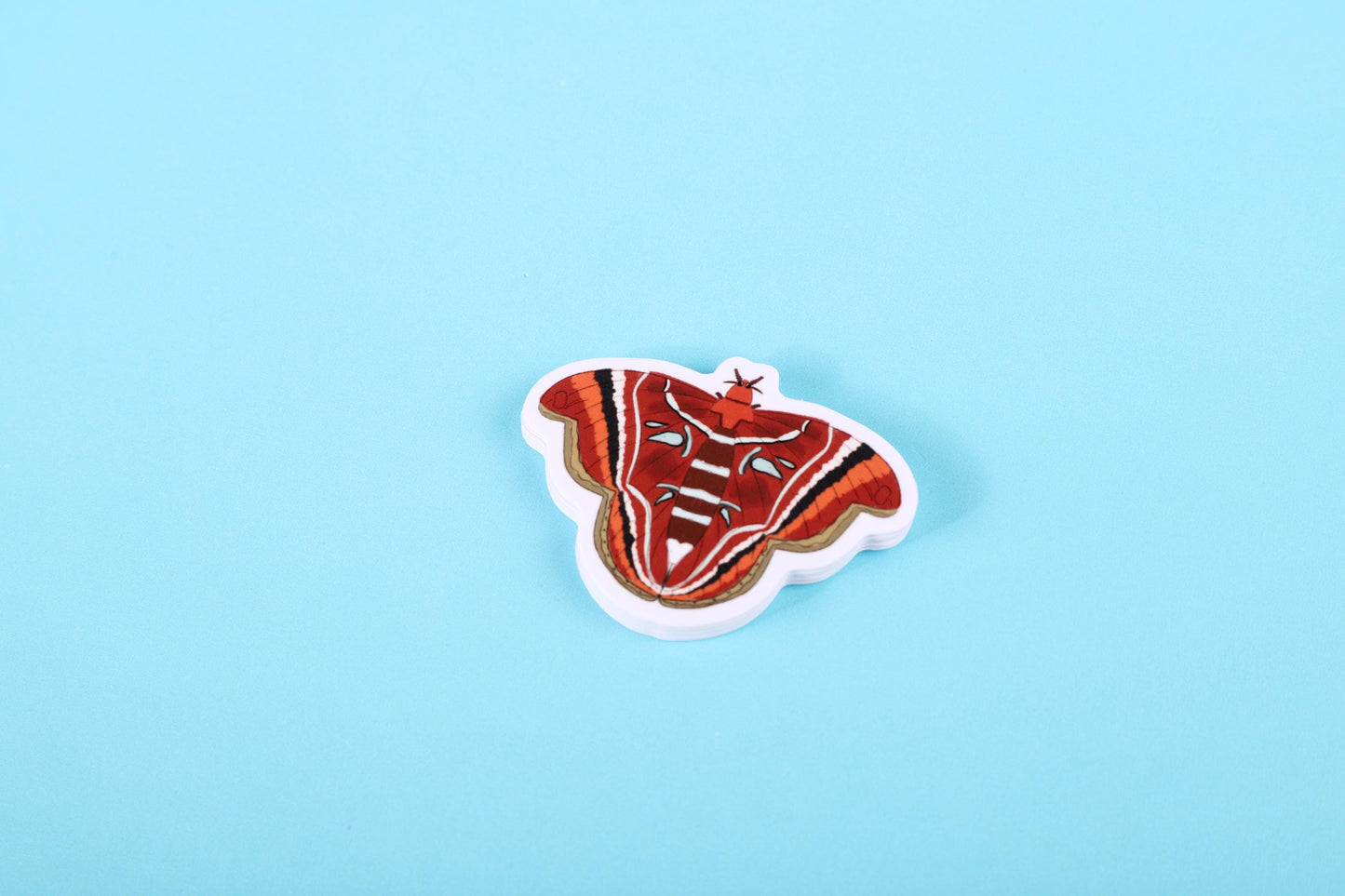 Atlas Moth Sticker