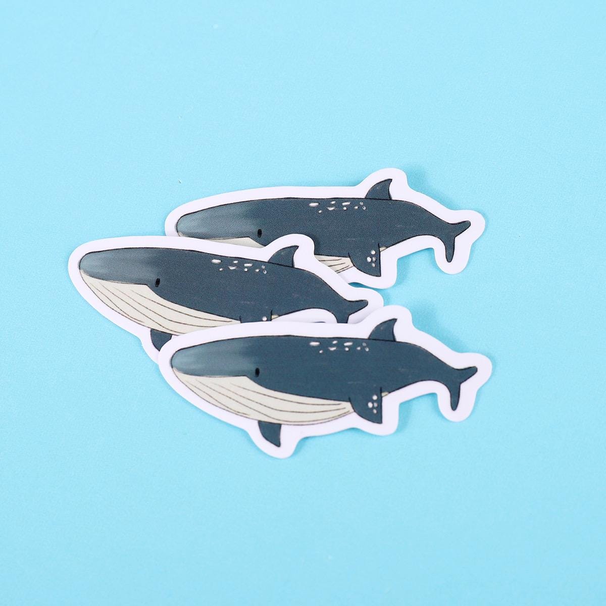 Blue Whale Sticker
