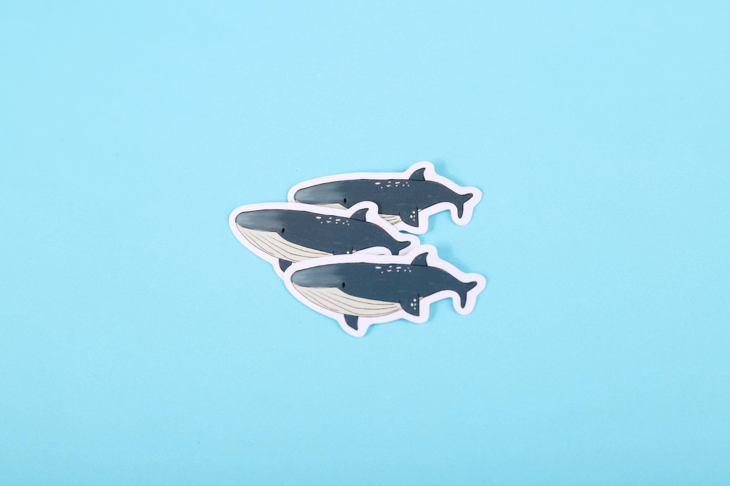 Blue Whale Sticker