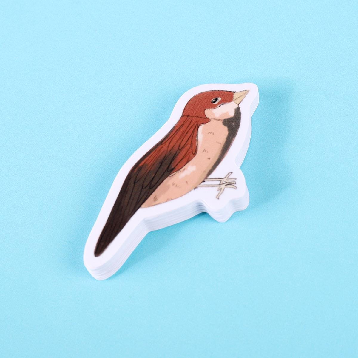 Sparrow Bird Sticker