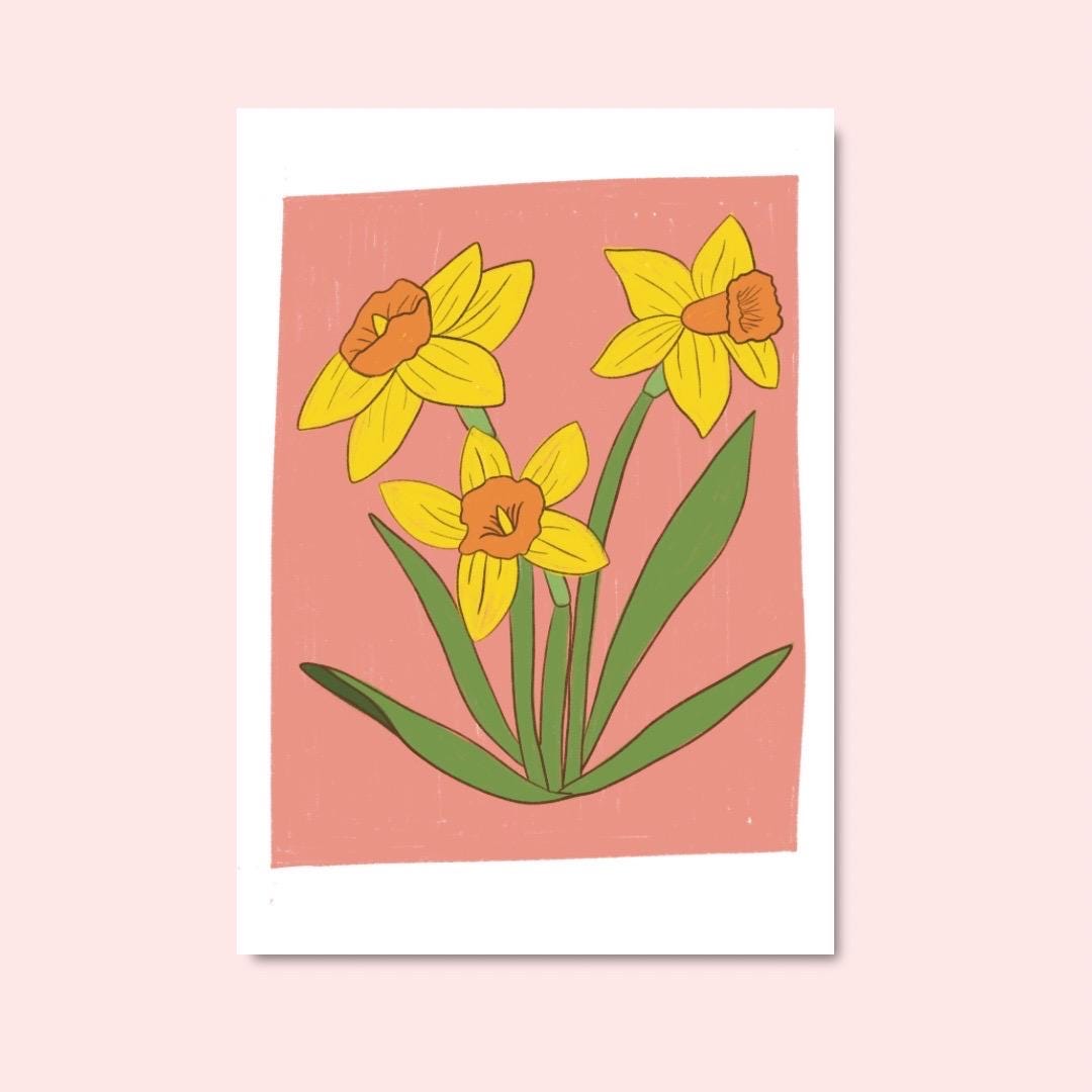 Welsh Daffodil A4 Art Print