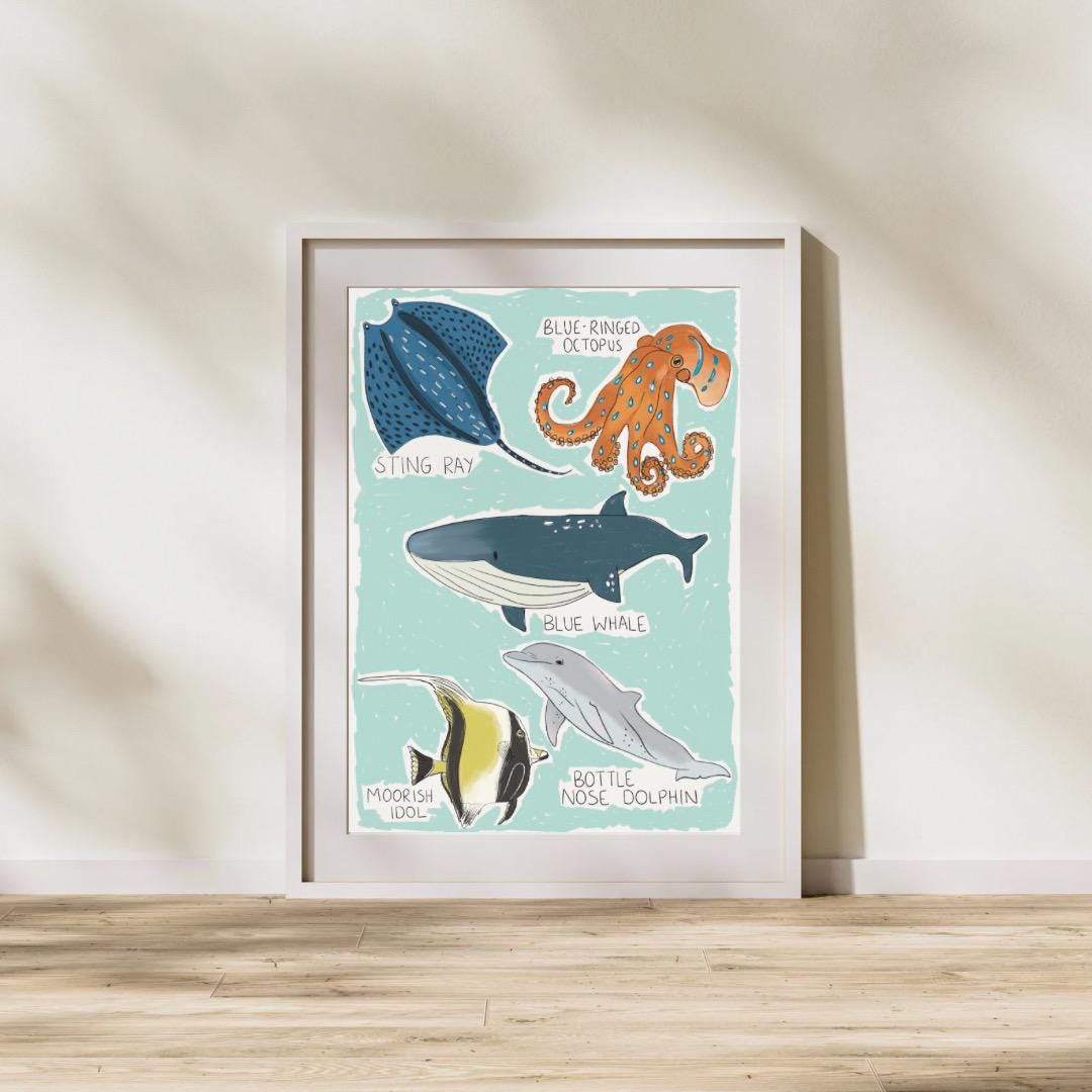 Types of ocean animals | A4 Art Print