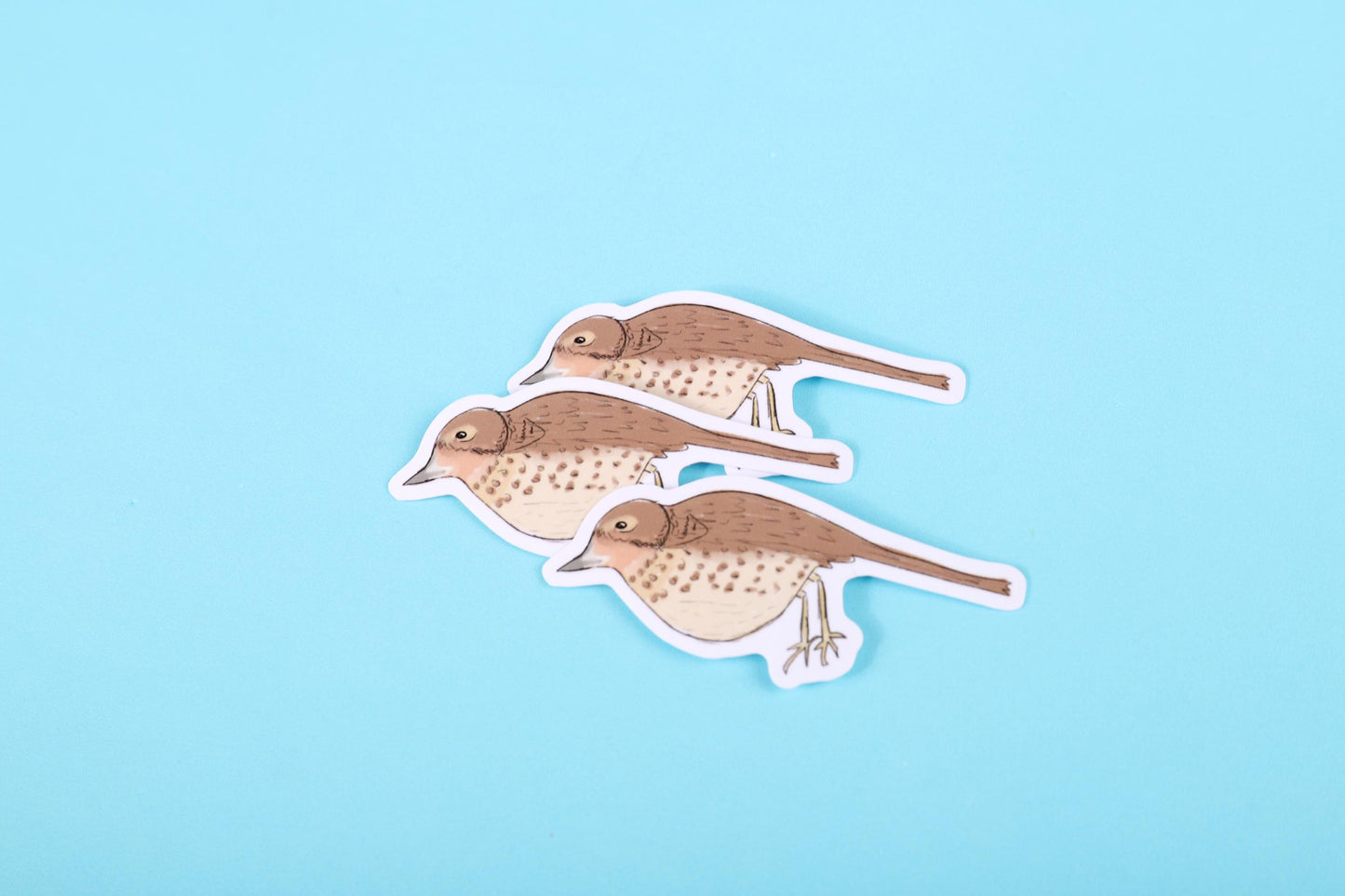 Thrush Bird Sticker