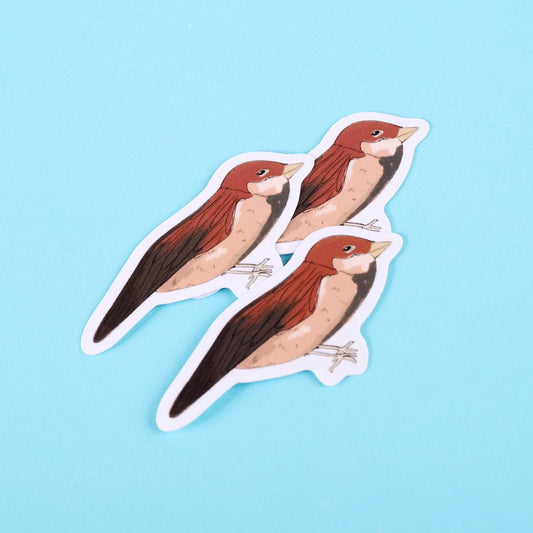 Sparrow Bird Sticker