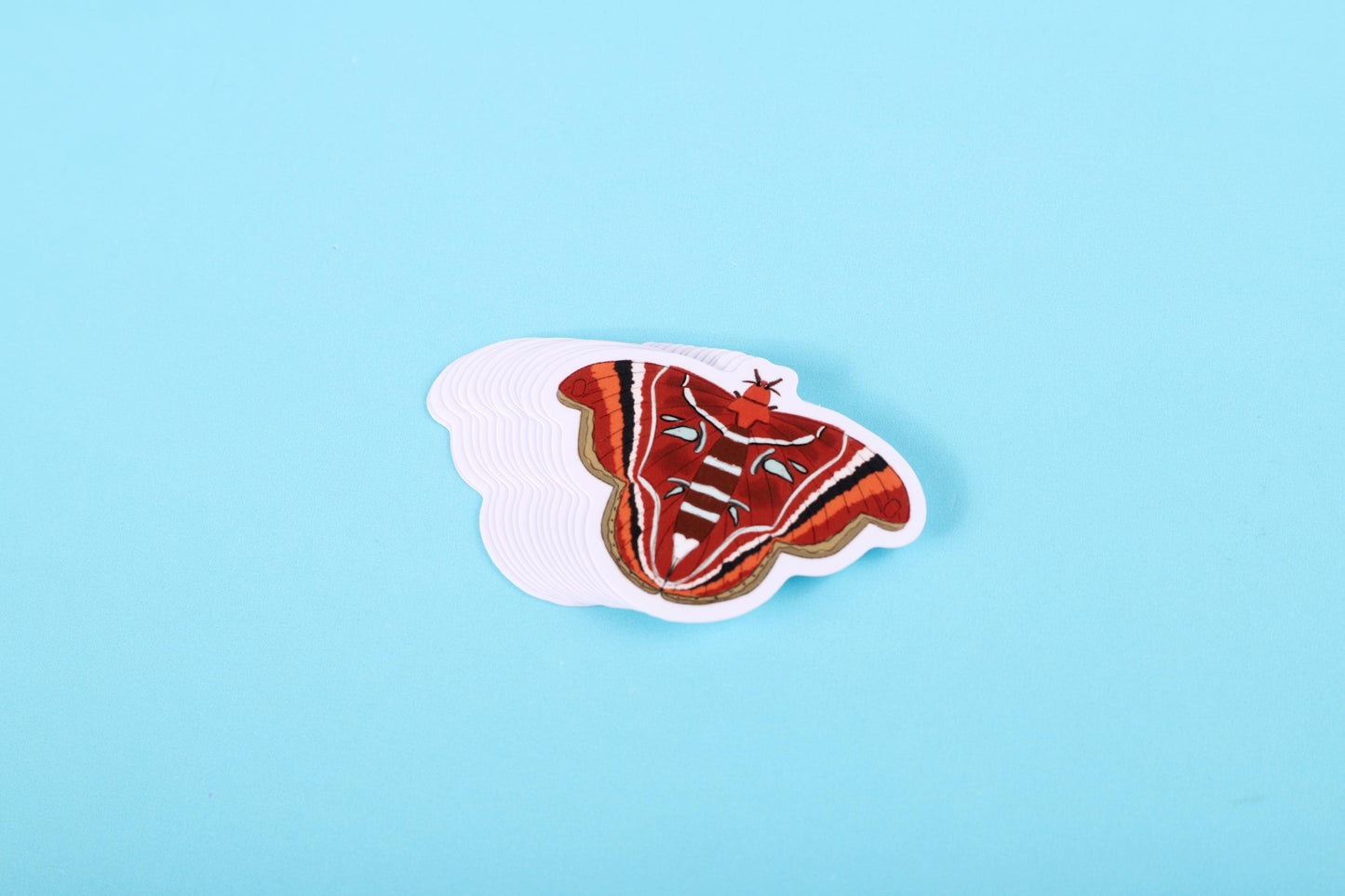 Atlas Moth Sticker