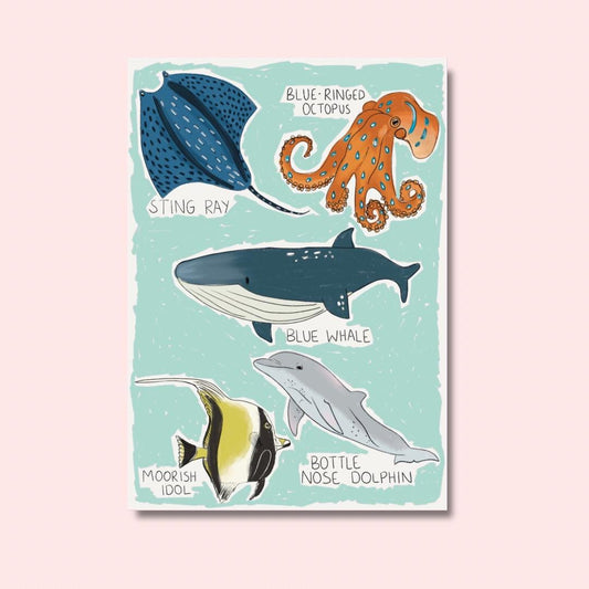 Types of ocean animals | A4 Art Print