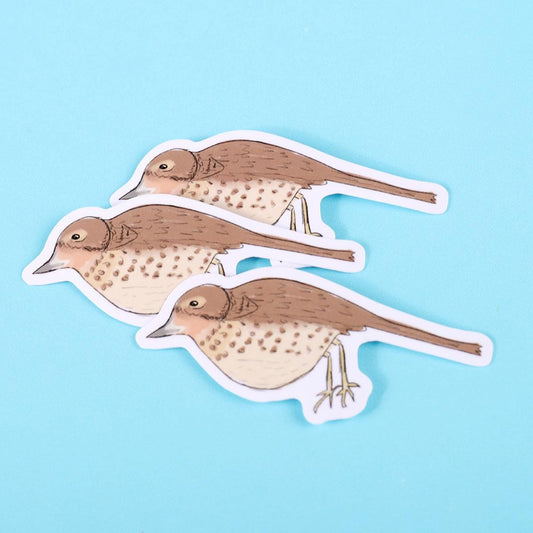 Thrush Bird Sticker