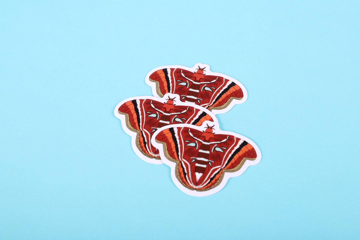 Atlas Moth Sticker