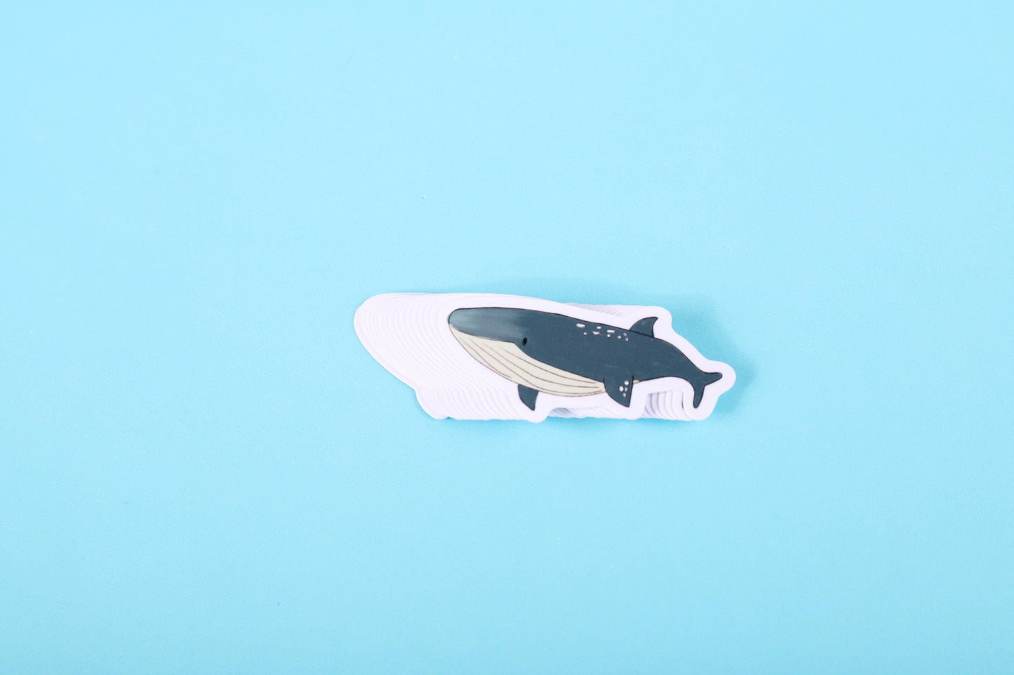 Blue Whale Sticker