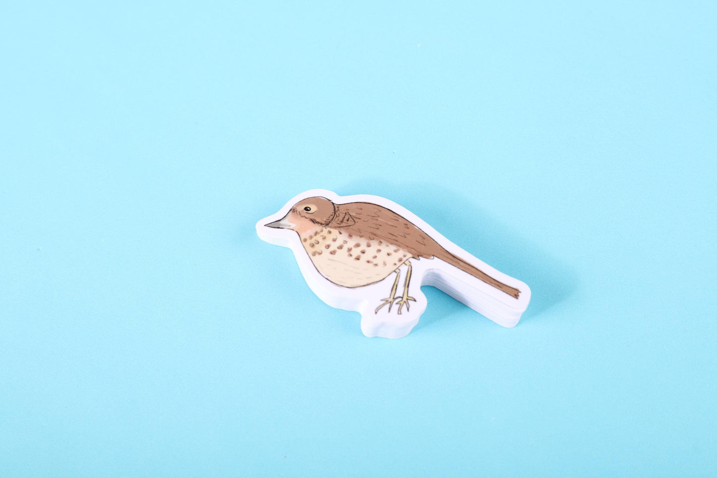 Thrush Bird Sticker