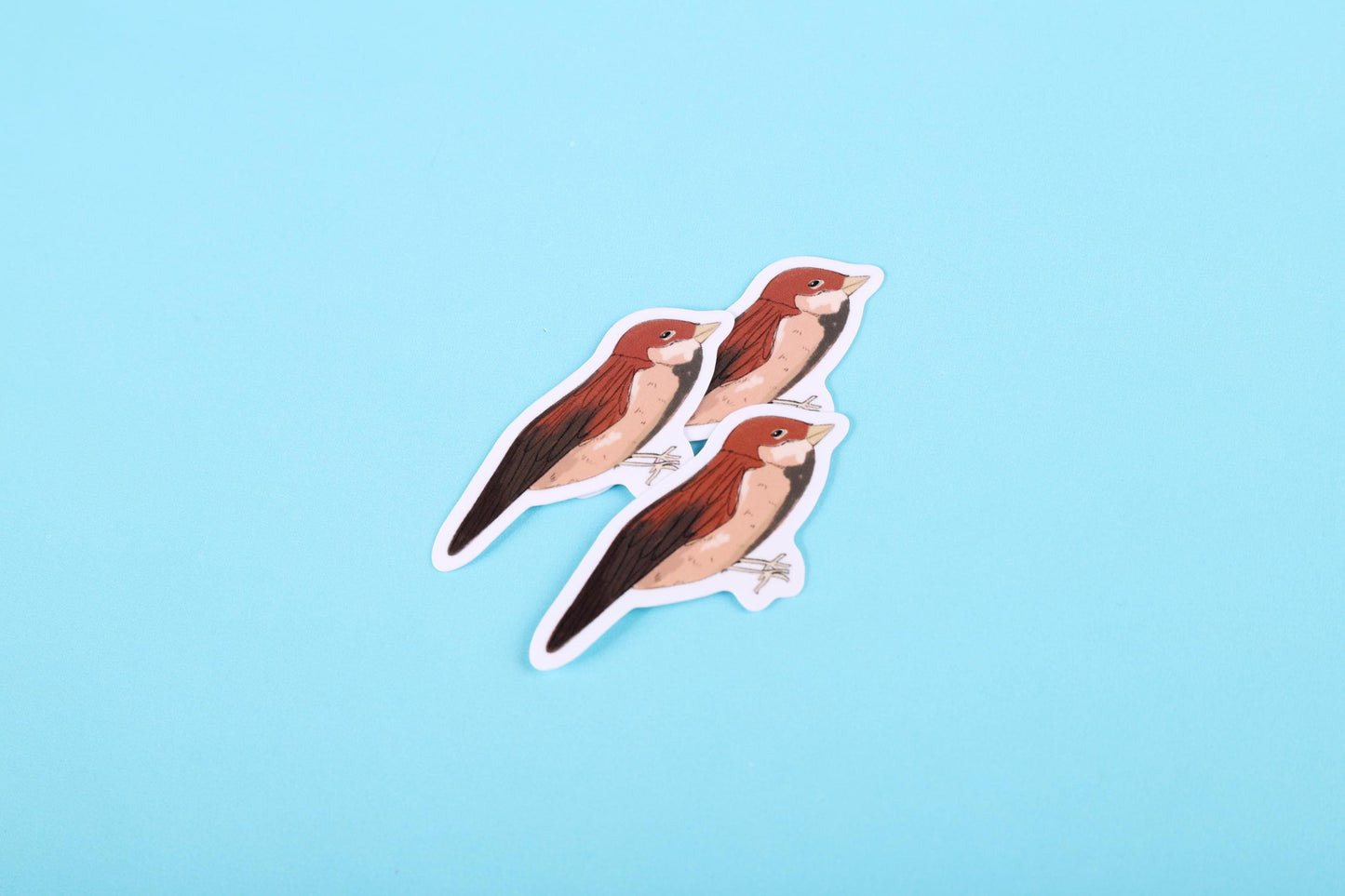 Sparrow Bird Sticker