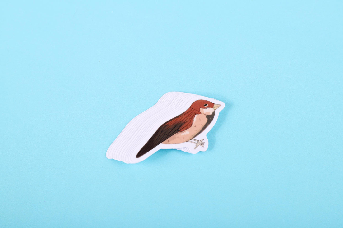 Sparrow Bird Sticker