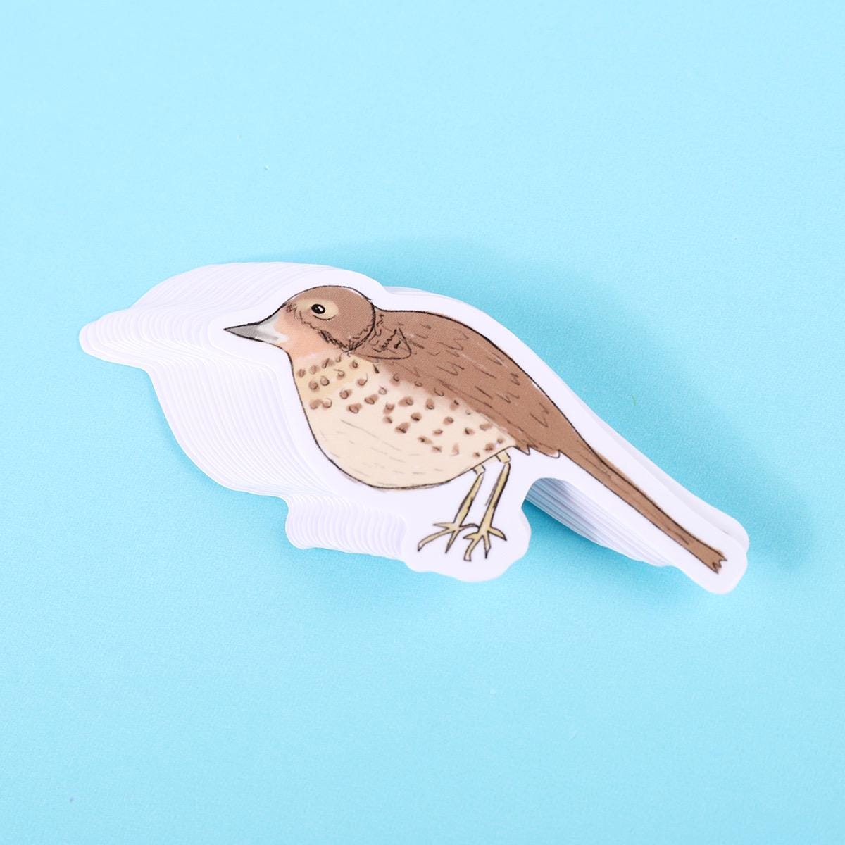 Thrush Bird Sticker