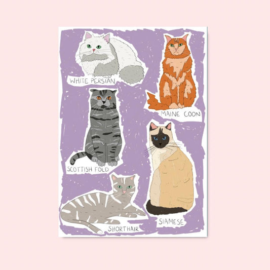 Types of cats | A4 Art Print