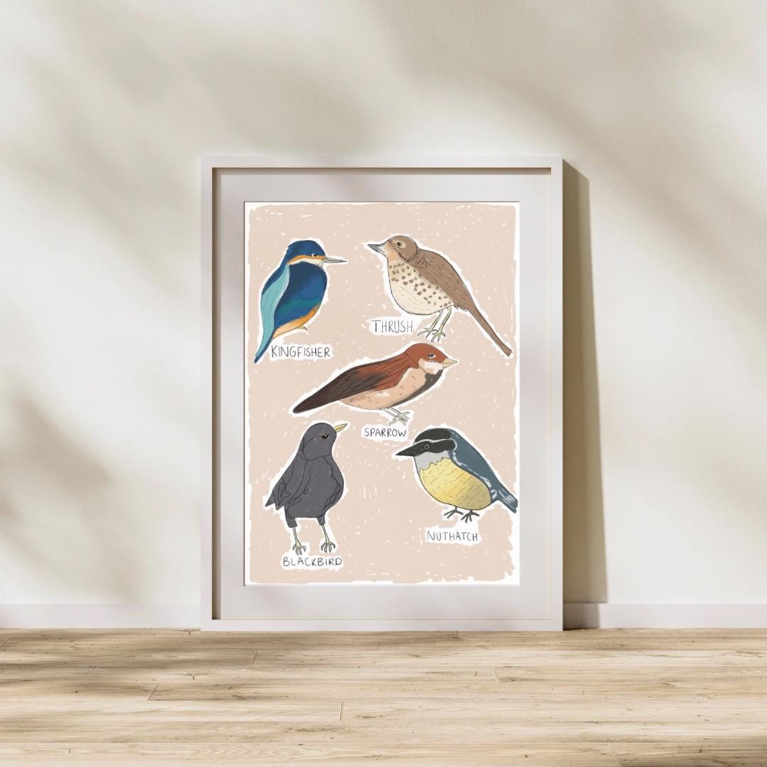 Types of birds | A4 Art Print