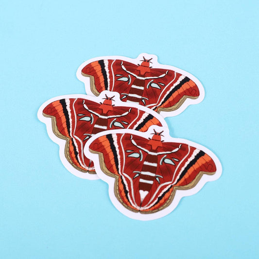 Atlas Moth Sticker
